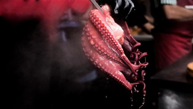 pulpo lugo san froilán