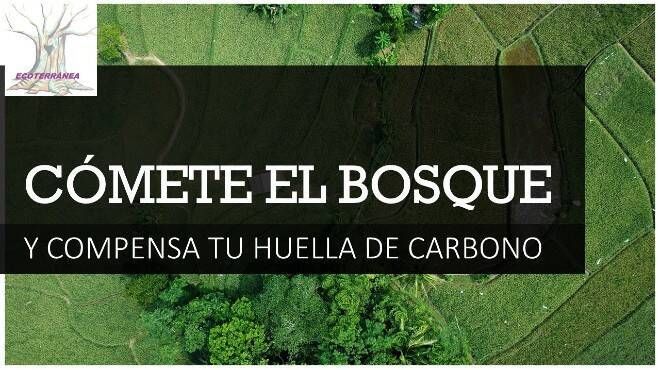Digital Castilla