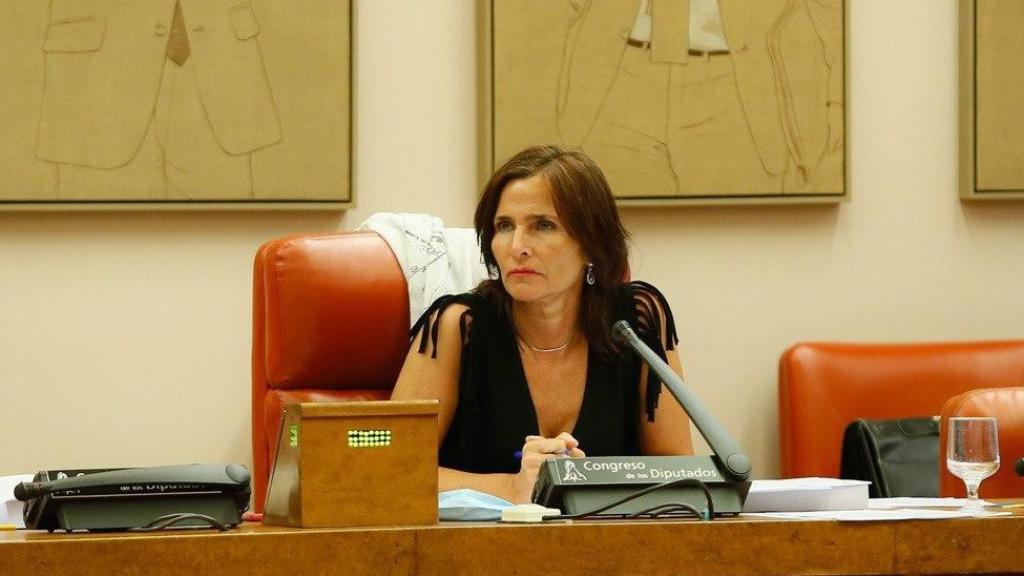 La diputada socialista Luz Martínez Seijo, en el Congreso de los Diputados.