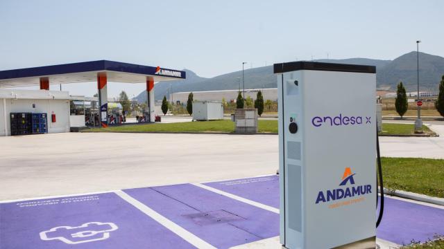 Uno de los cargadores de Endesa.