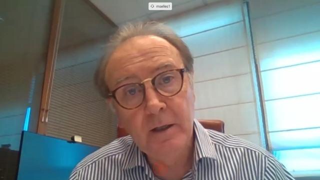 Martín Sellés, durante una videoconferencia.