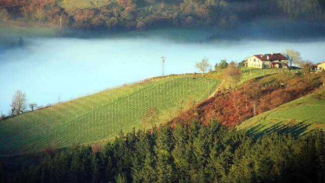 Las mejores bodegas de España