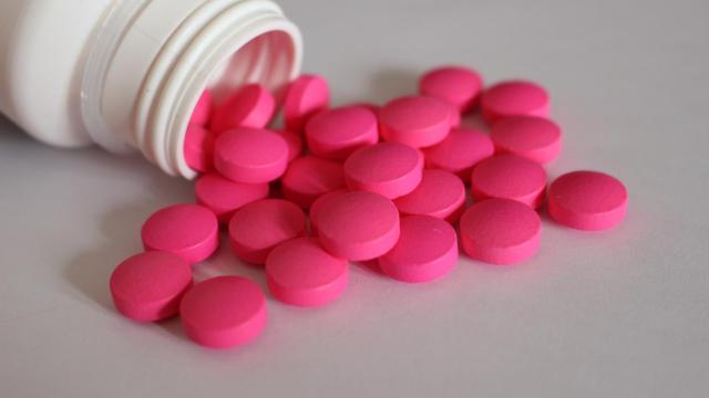 ¿Sirven los medicamentos de humanos para los perros?