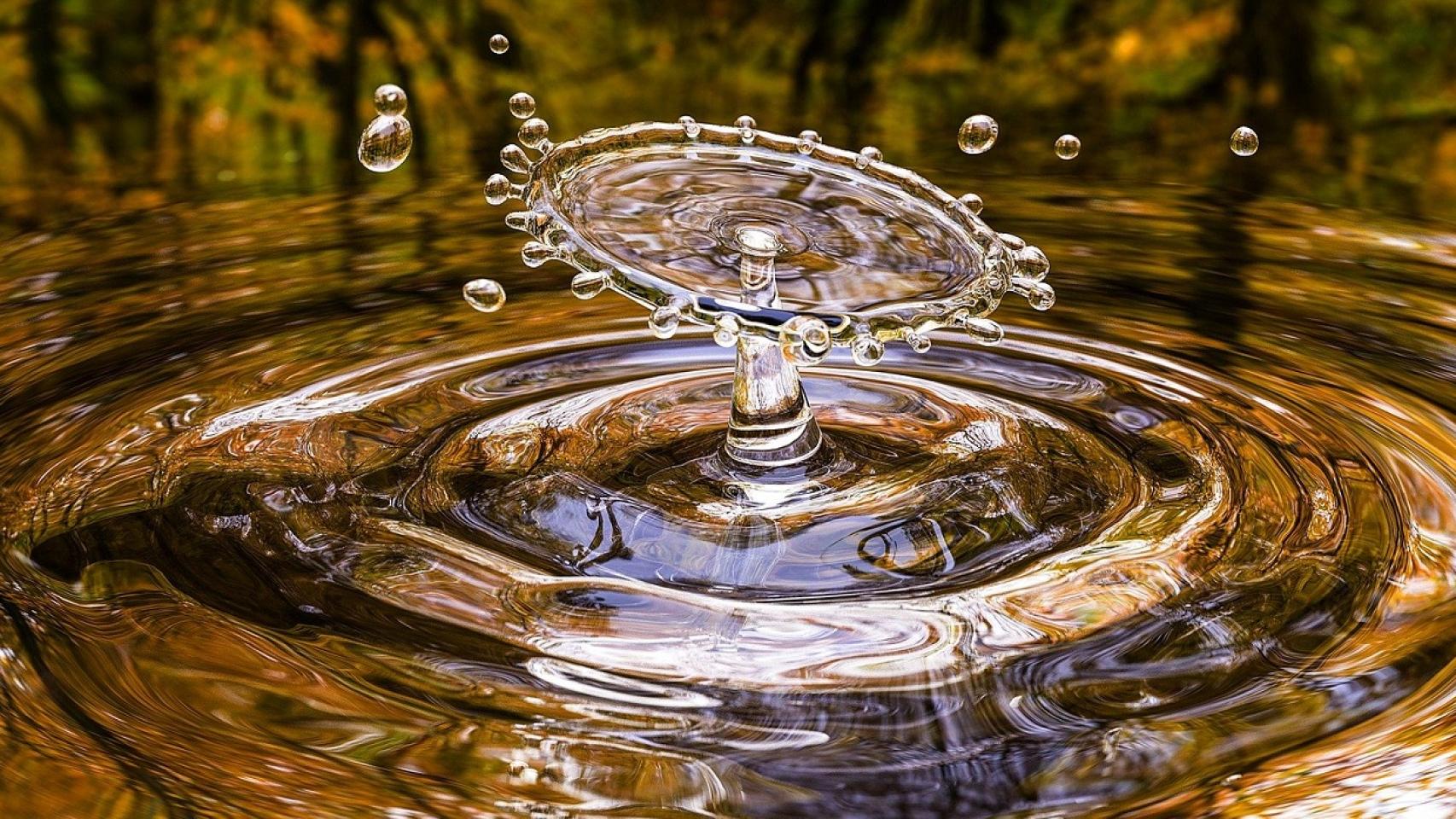 No habrá ética sin reflexión
