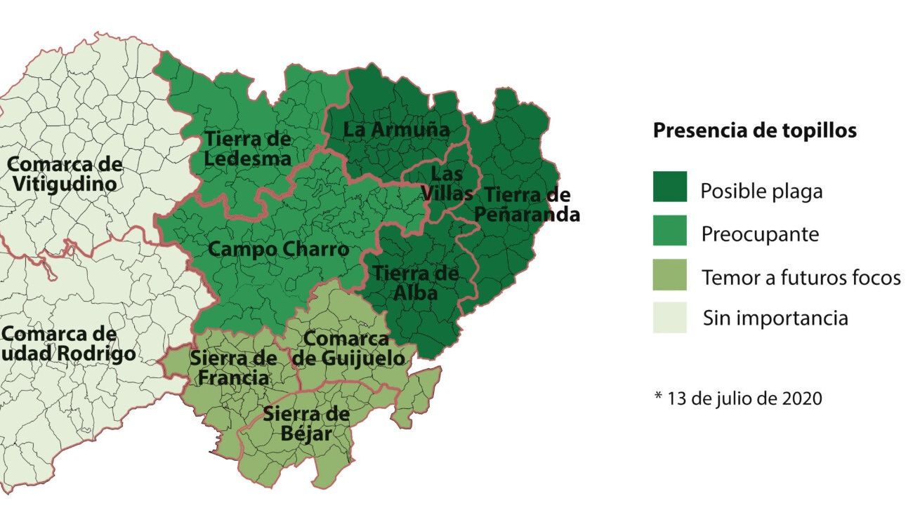 Castilla y León