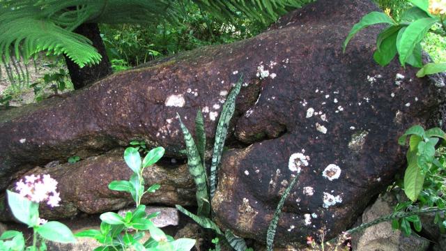 Supuestas marcas piratas en una roca de la playa Bel Ombre, en la isla de Mahé (Seychelles).