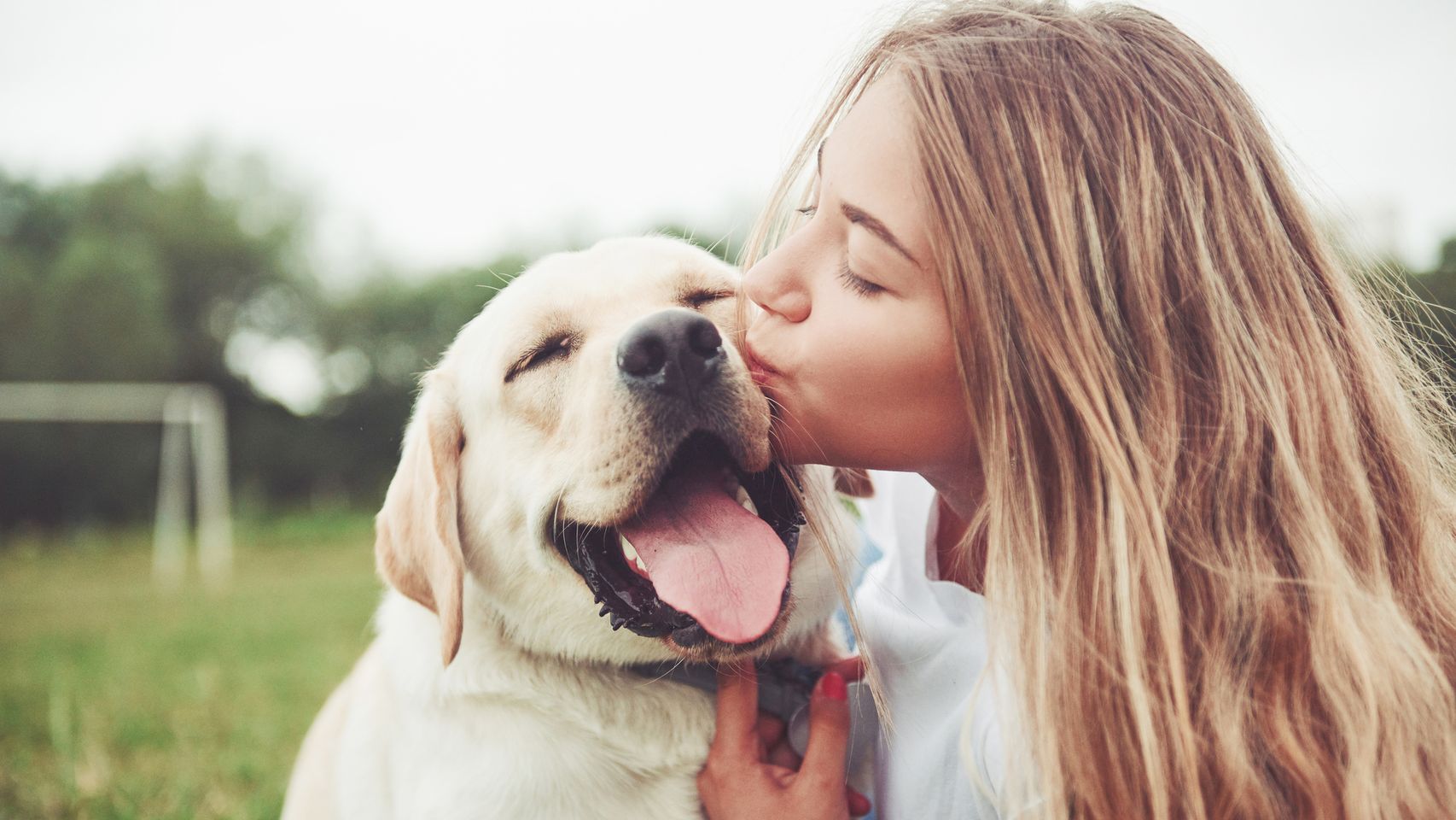 iStock