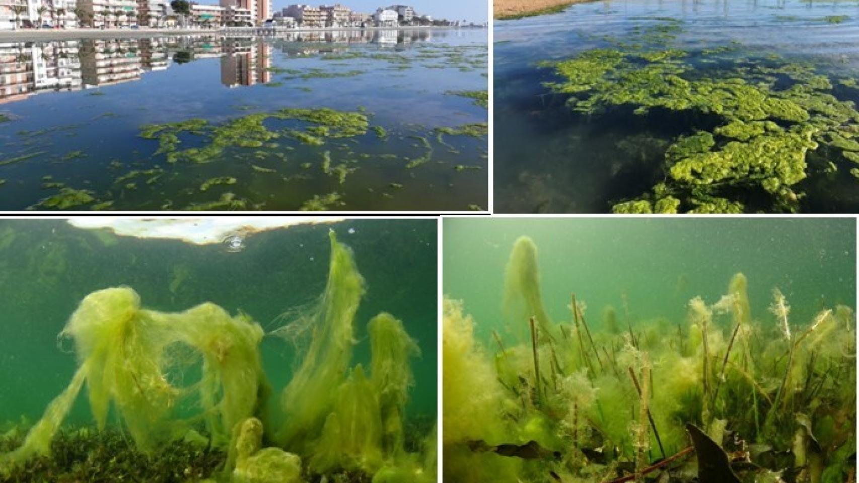 Atajar la entrada de sedimentos y nutrientes, primer paso para recuperar el Mar Menor.