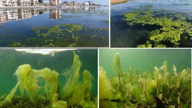 Atajar la entrada de sedimentos y nutrientes, primer paso para recuperar el Mar Menor.