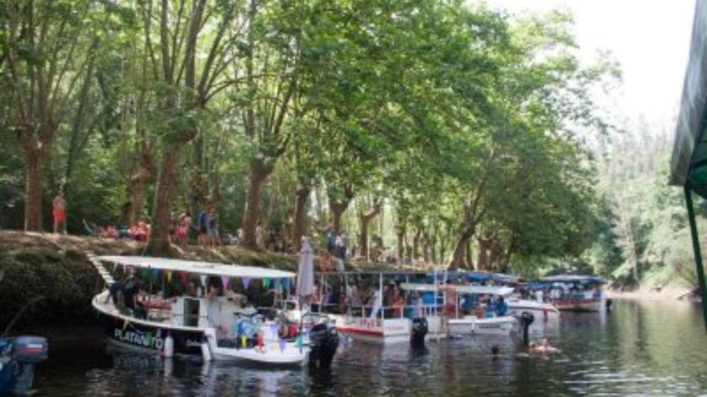 Celebración de una jira de Os Caneiros