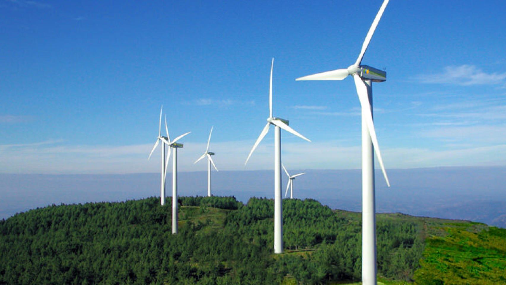Molinos de Iberdrola.
