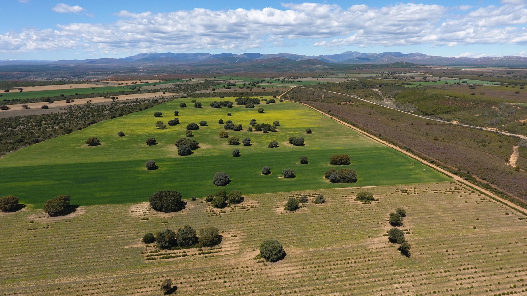 Castilla y León