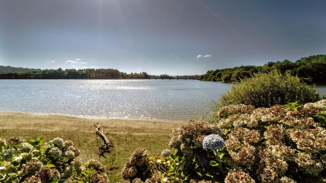 La orilla del embalse de Cecebre, en Cambre (A Coruña).