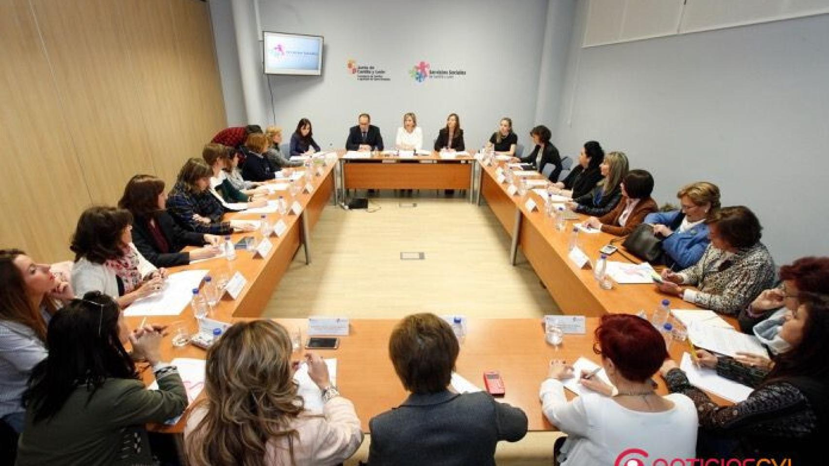 consejeria familia comision igualdad genero cyl 1