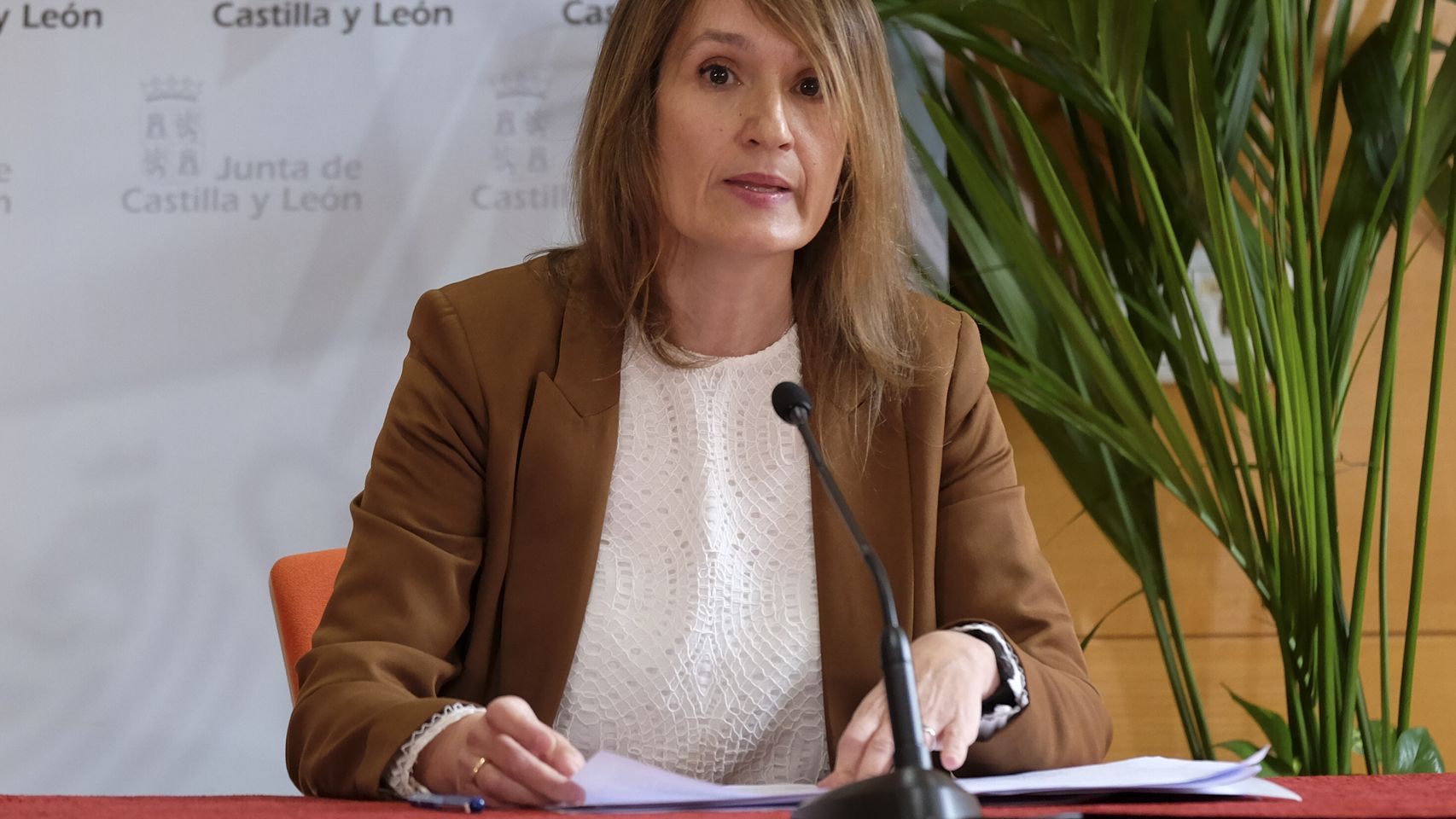 Castilla y León