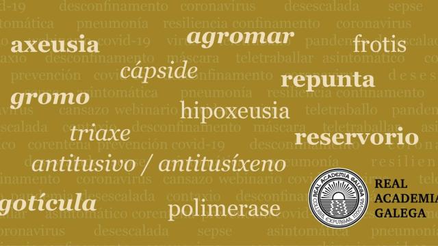 Nuevos términos en el diccionario de la RAG