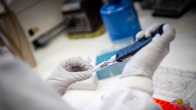 Laboratorio del CNB donde se está desarrollando la vacuna del equipo de Isabel Sola y Luis Enjuanes contra la COVID-19.