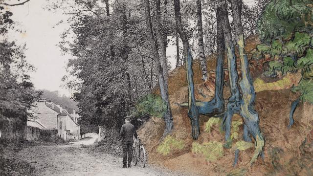 Montaje del lienzo Raíces de árbol y la postal del mismo lugar.