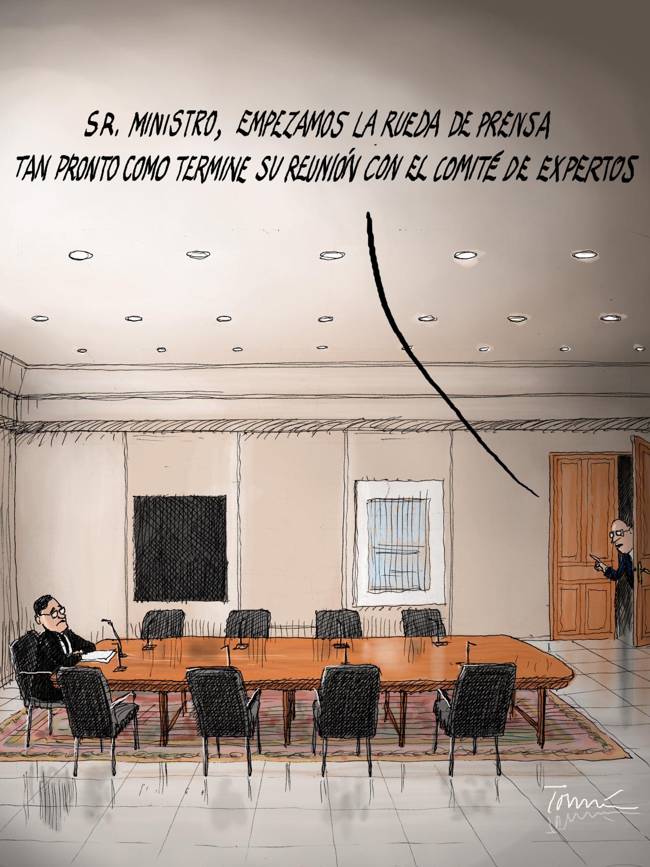 El comité de expertos
