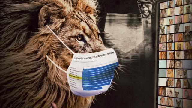 Ilustración: Javier Muñoz