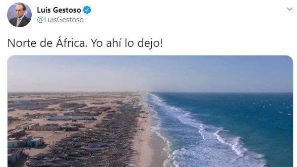 Captura del tuit que publicó el diputado de Vox.