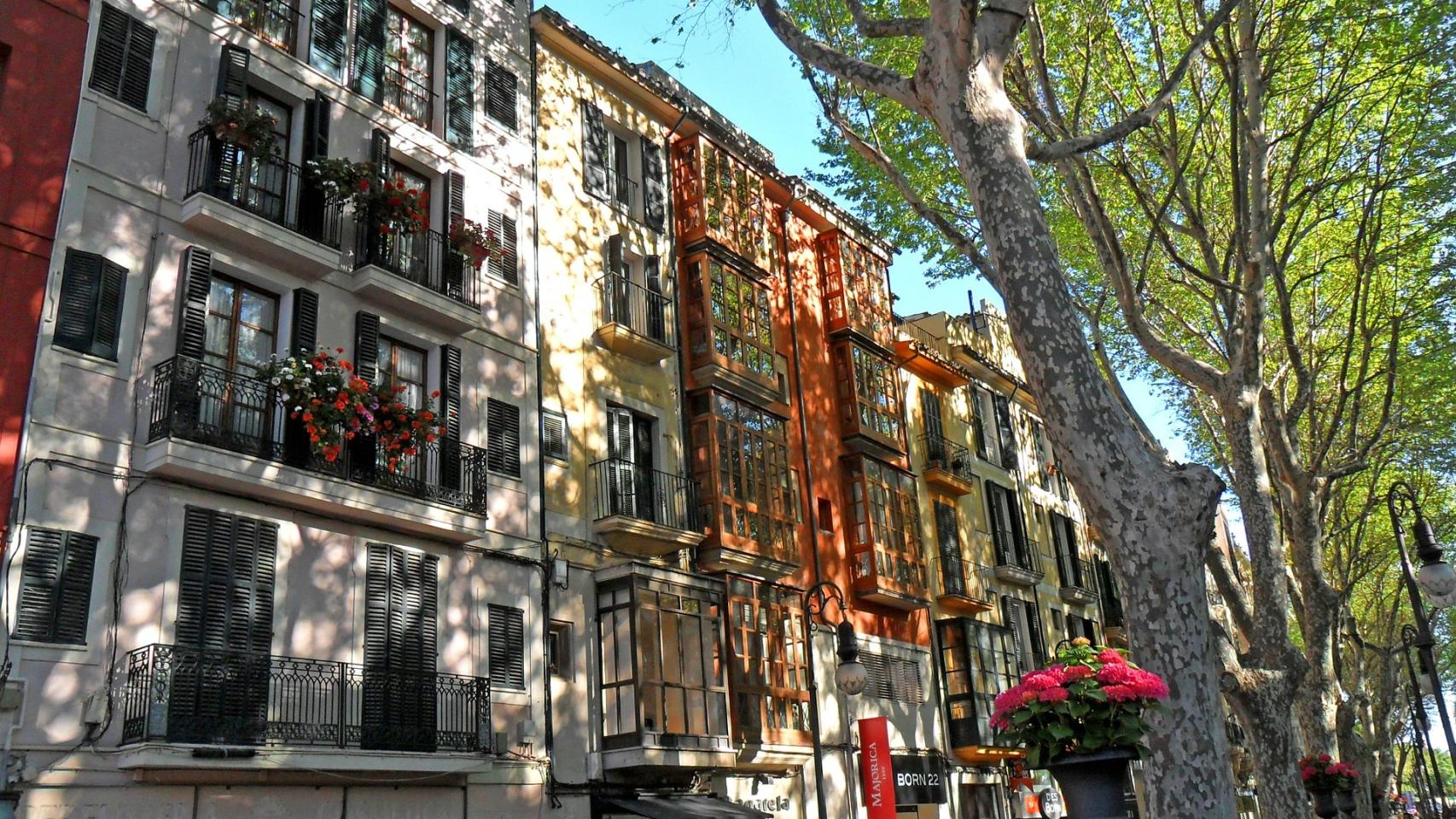 Imagen de una calle de Palma de Mallorca.