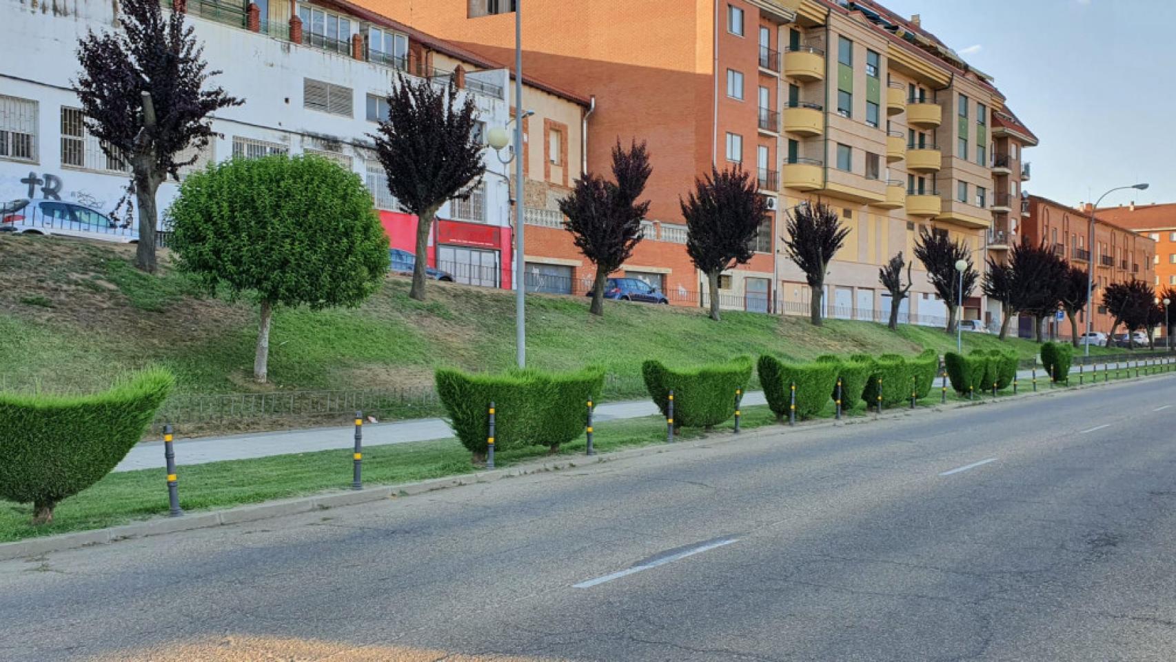 Via del canal benavente (1)
