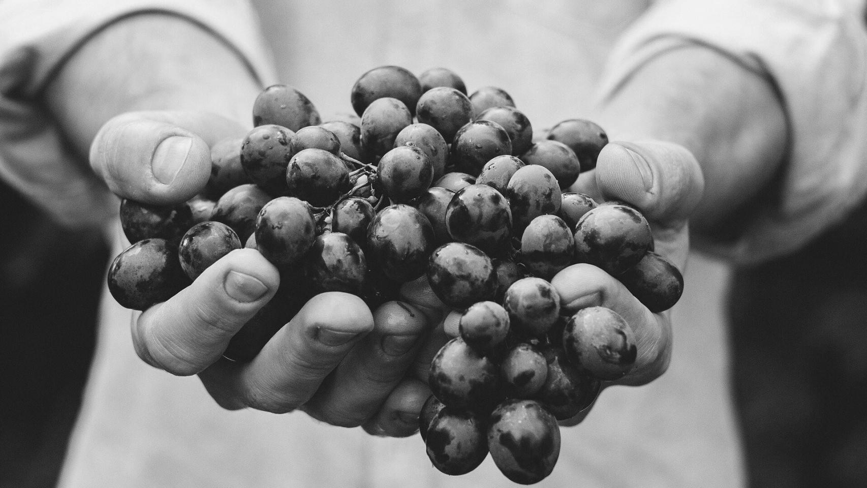 Alimentación, la otra revolución en marcha