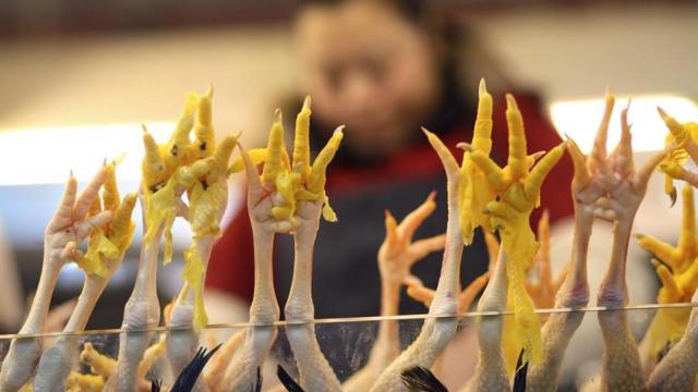 Detalle de unas patas de pollos mientras son exhibidas.