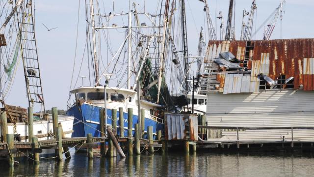 Dos barcos confinados en A Coruña y Burela: Uno a la espera de los test y otro con 8 casos