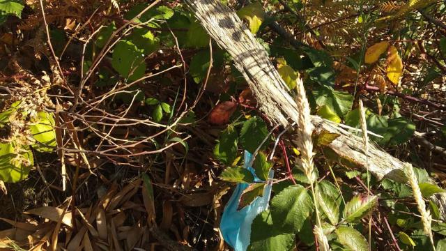 Mascarilla encontrada en un monte de Arteixo