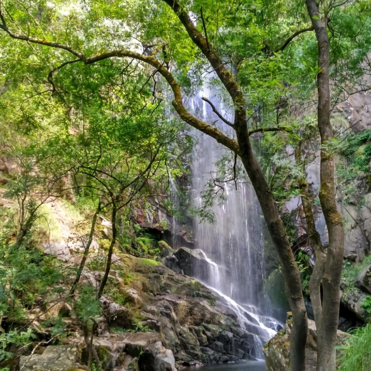 Fervenza de Augacaída (TripAdvisor)