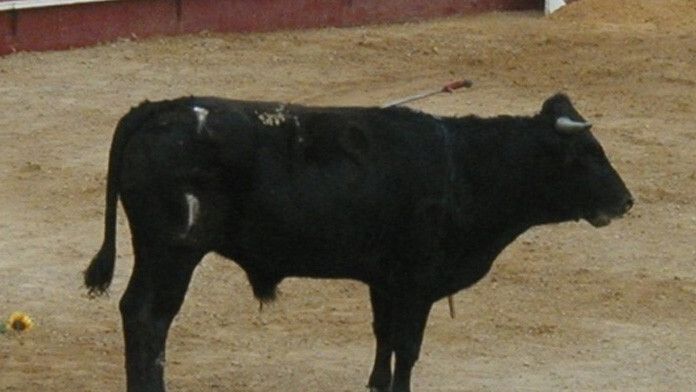 Castilla y León