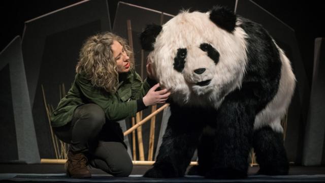 Mai Mai, de la compañía gallega Baobab