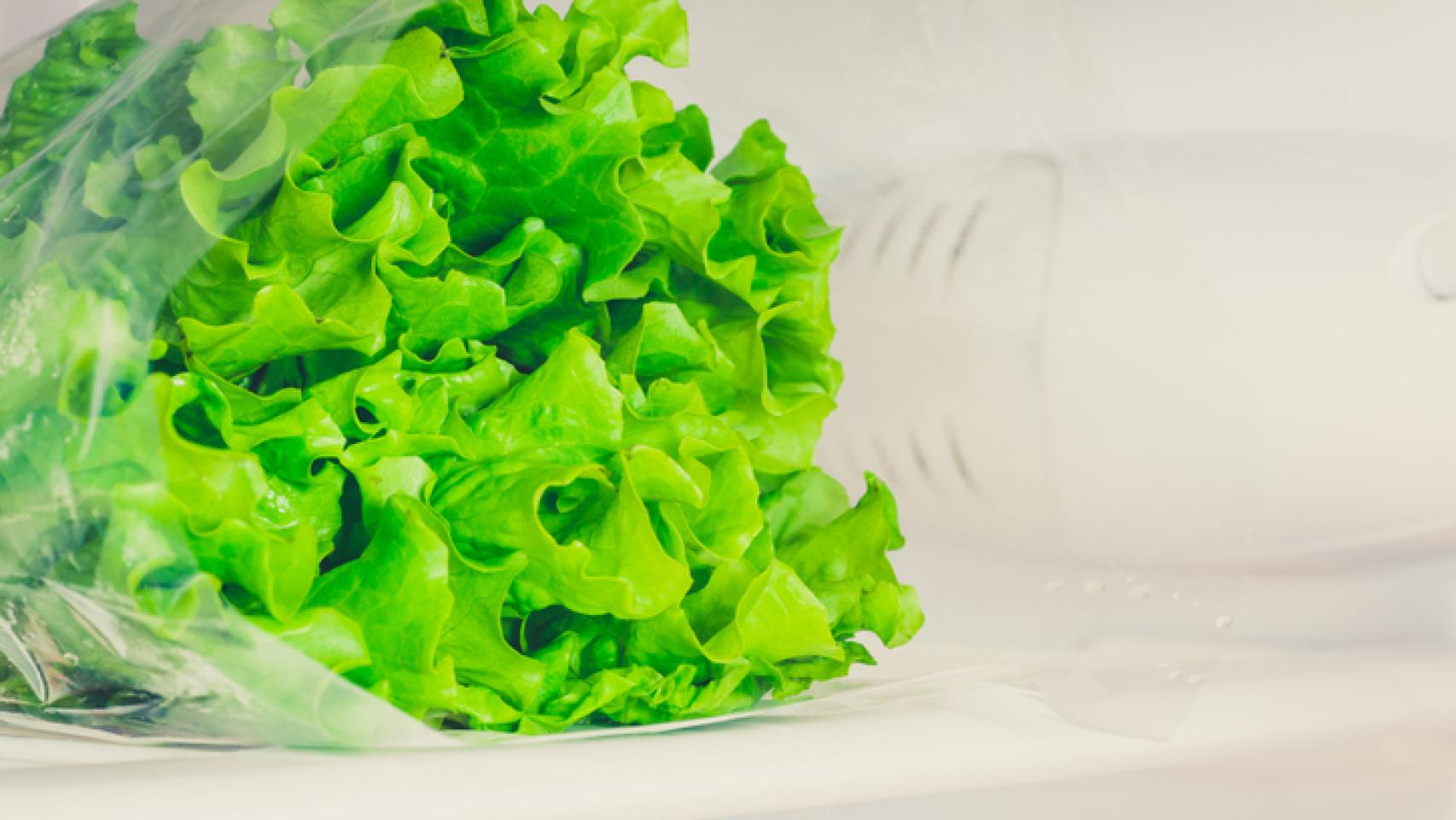 Sencillos trucos para conservar bien la lechuga