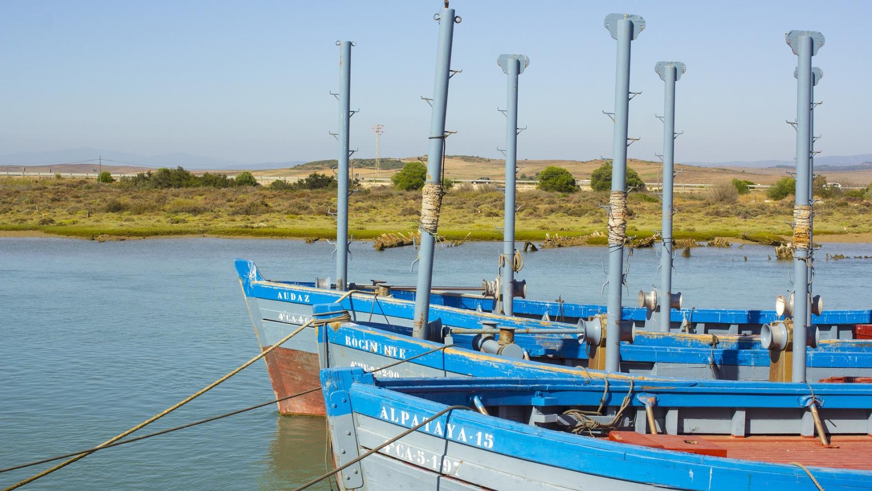 Barbate.