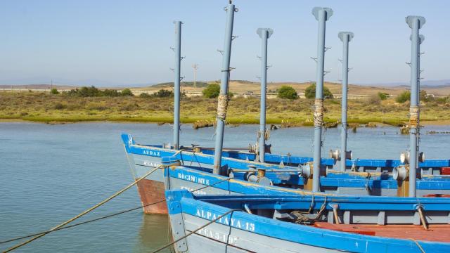 Barbate.