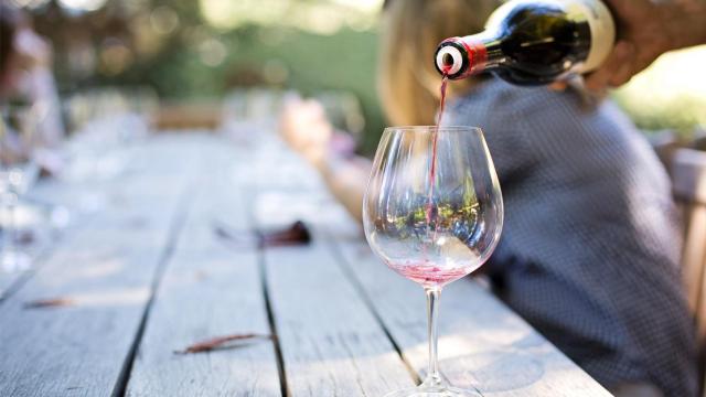Cinco vinos frescos, frutales y divertidos con maceración carbónica
