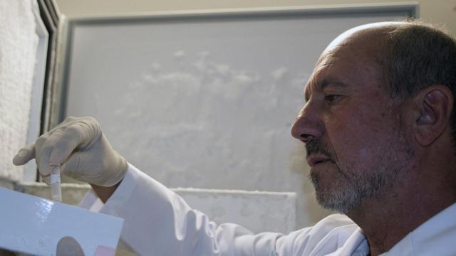 Uno de los investigadores del CSIC.