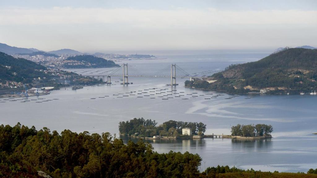 Ría de Vigo.