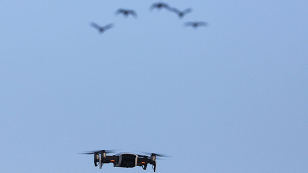 El sistema de Gradiant contra el uso de drones en actividades ilegales, uno de los mejores de Europa