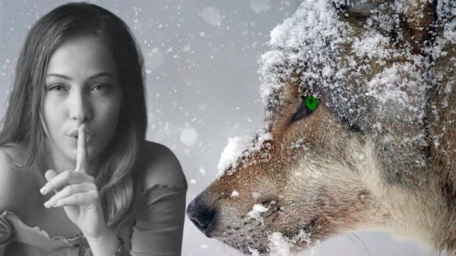 Pepa a Loba: La leyenda de la Robin Hood gallega