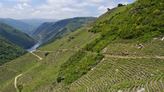 La Ribeira Sacra.
