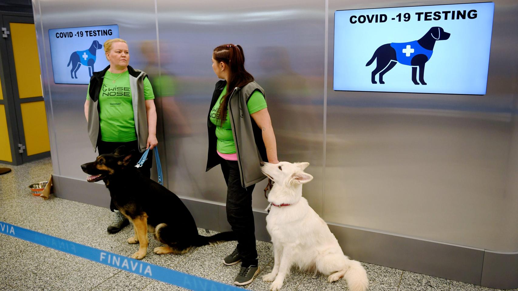 Los perros rastreadores se ubican tras la recogida de equipajes.