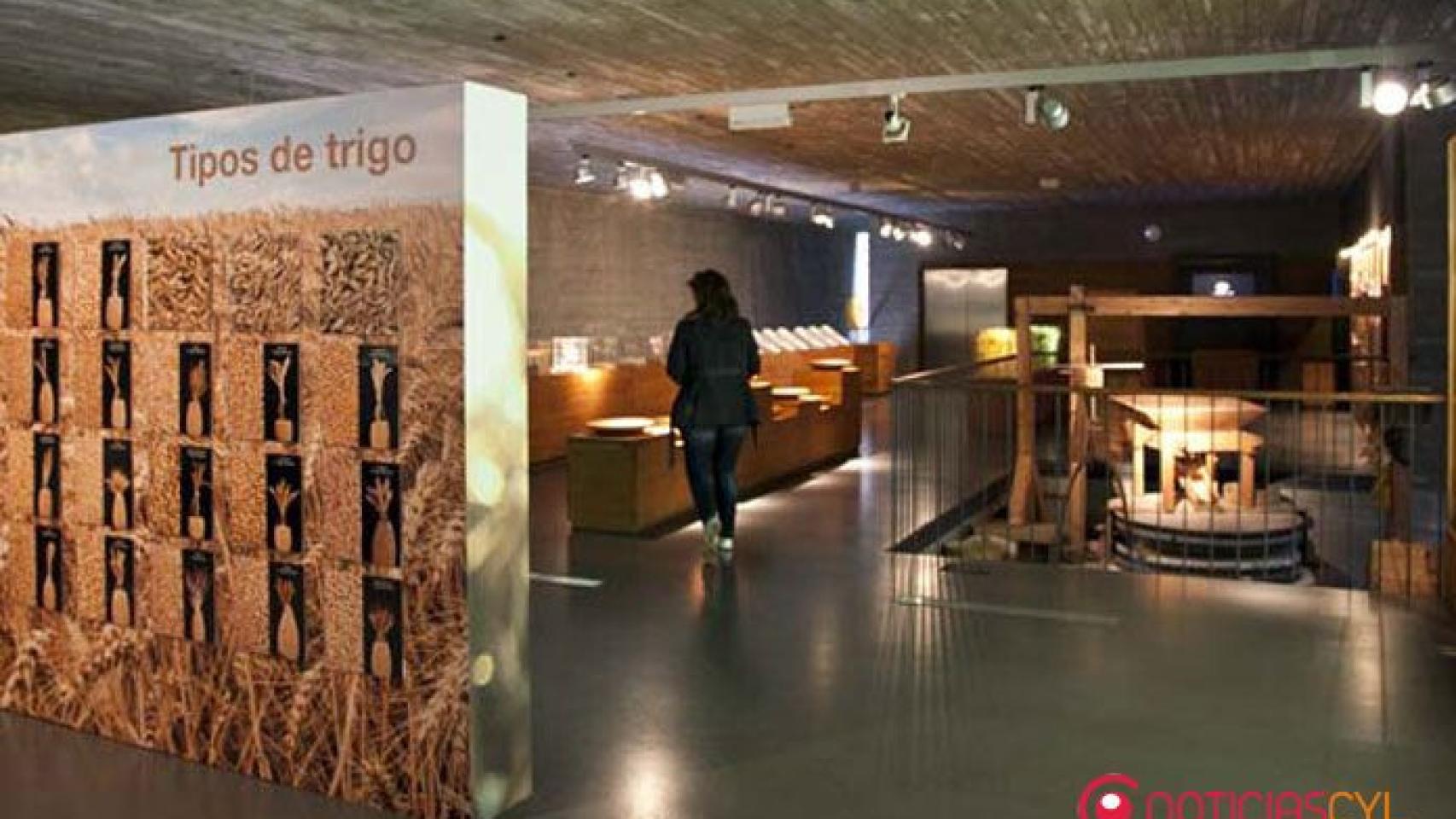 Museo-pan-mayorga-PAN