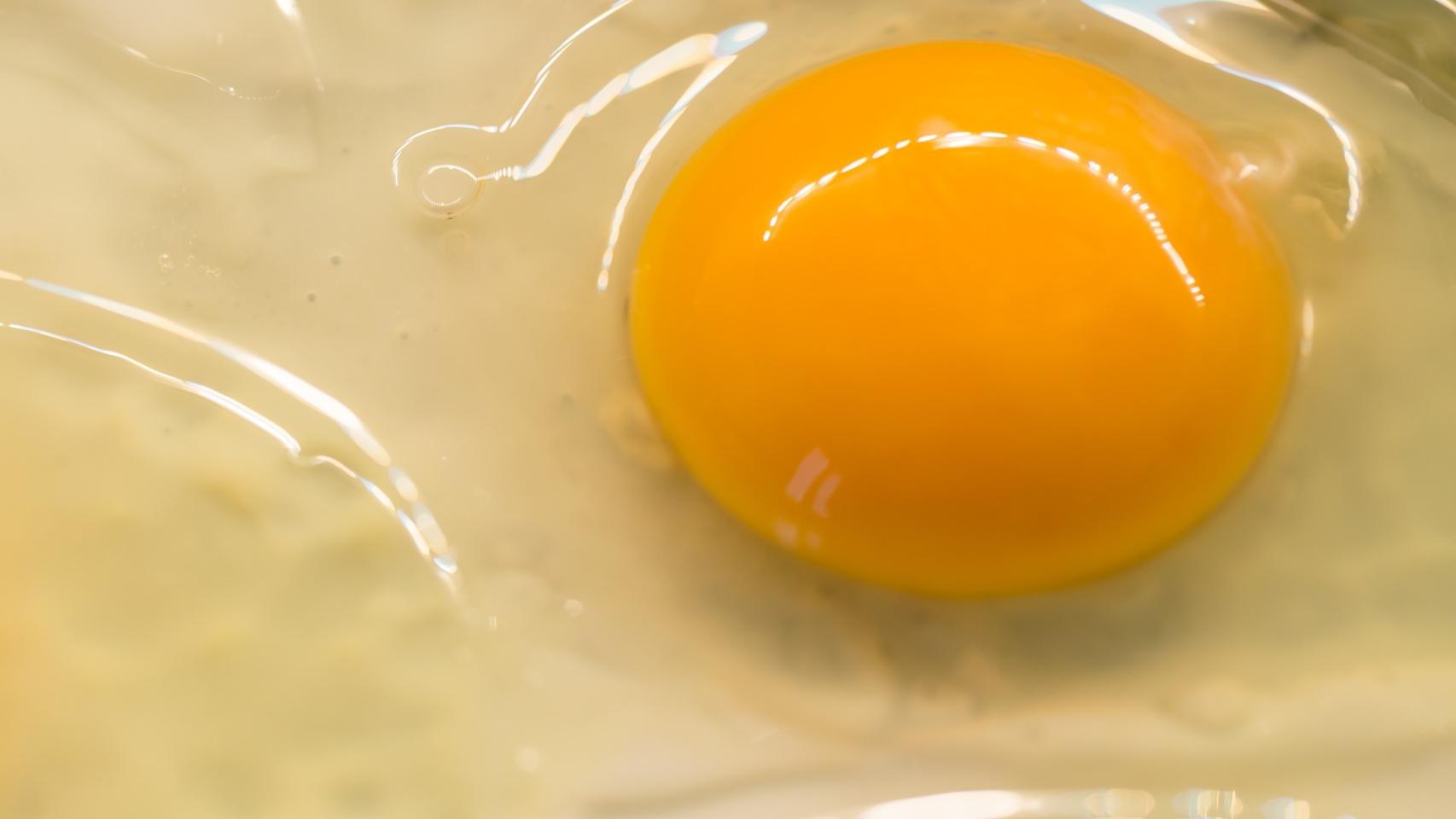 El huevo tiene una gran cantidad de nutrientes, pocas calorías y grasa saludable.