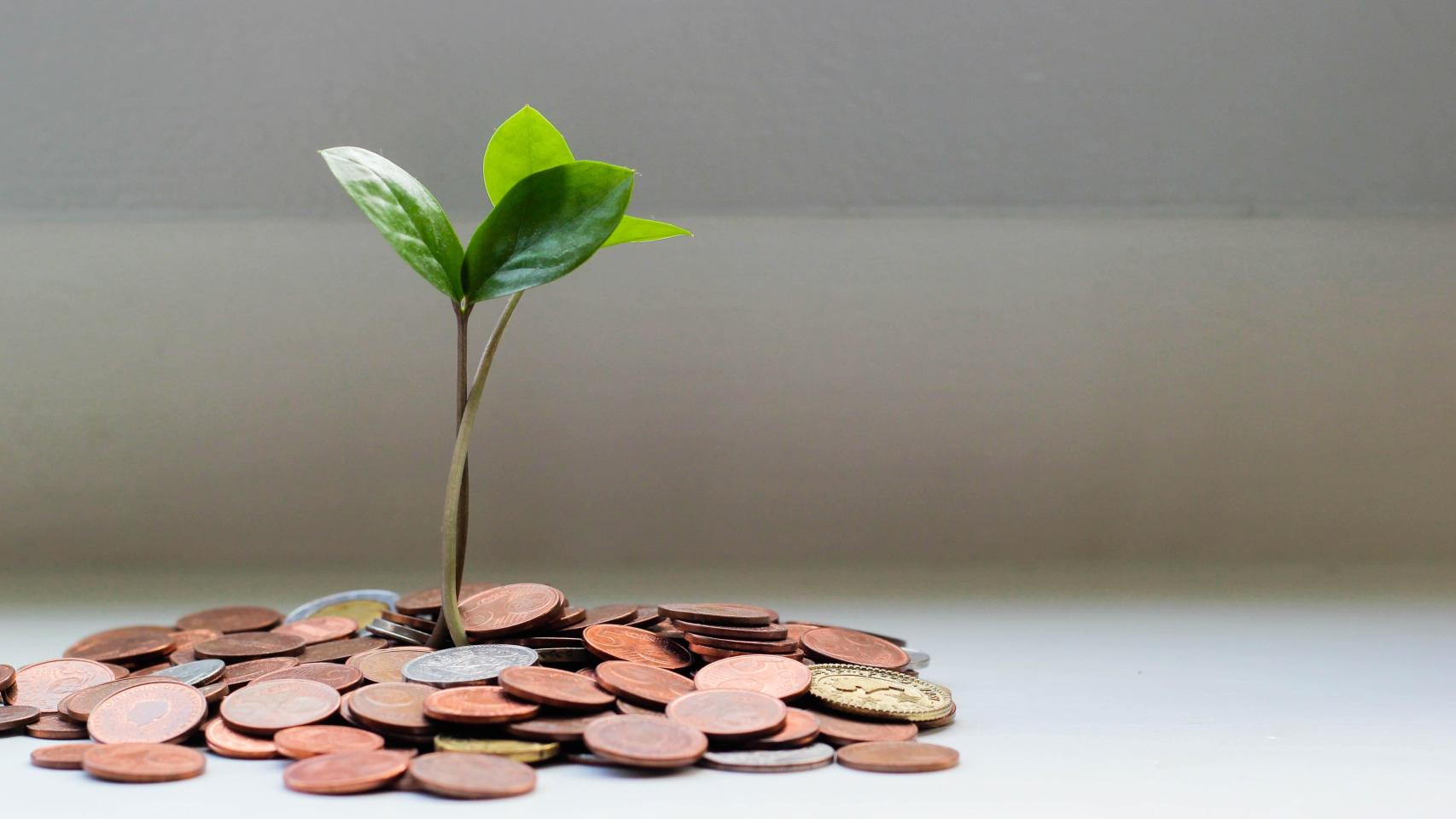 Los filántropos encuestados defienden que existe mucha burocracia y pocos incentivos en el sistema de donaciones.
