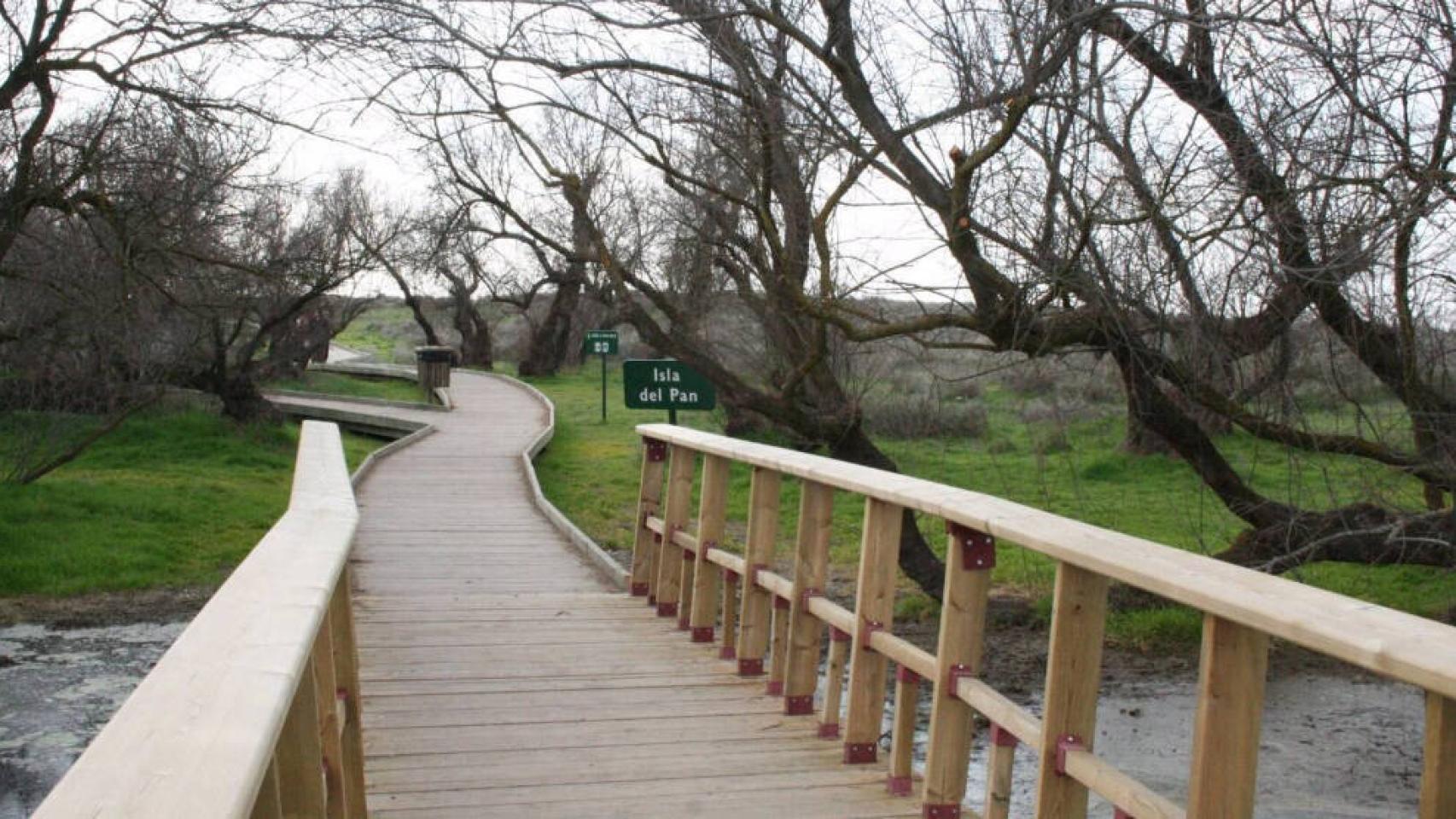Tablas de Daimiel. Foto: Patronato