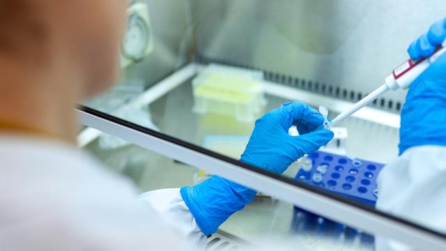 Investigadores españoles combaten a las “superbacterias” con algoritmos de inteligencia artificial