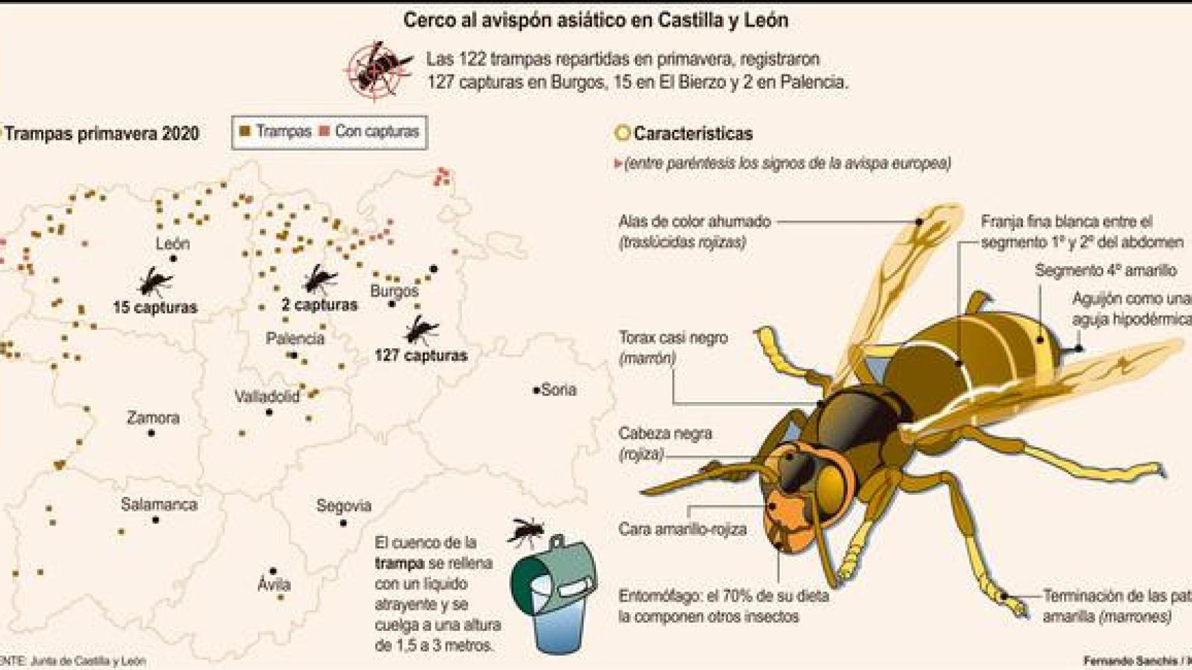 Castilla y León